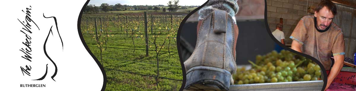 The Wicked Virgin & Calico Town Wines Rutherglen North Eat Victoria